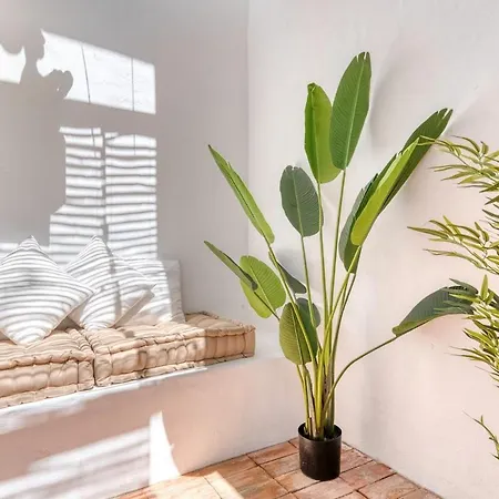 Chic Andalusian Retreat Lejlighed *